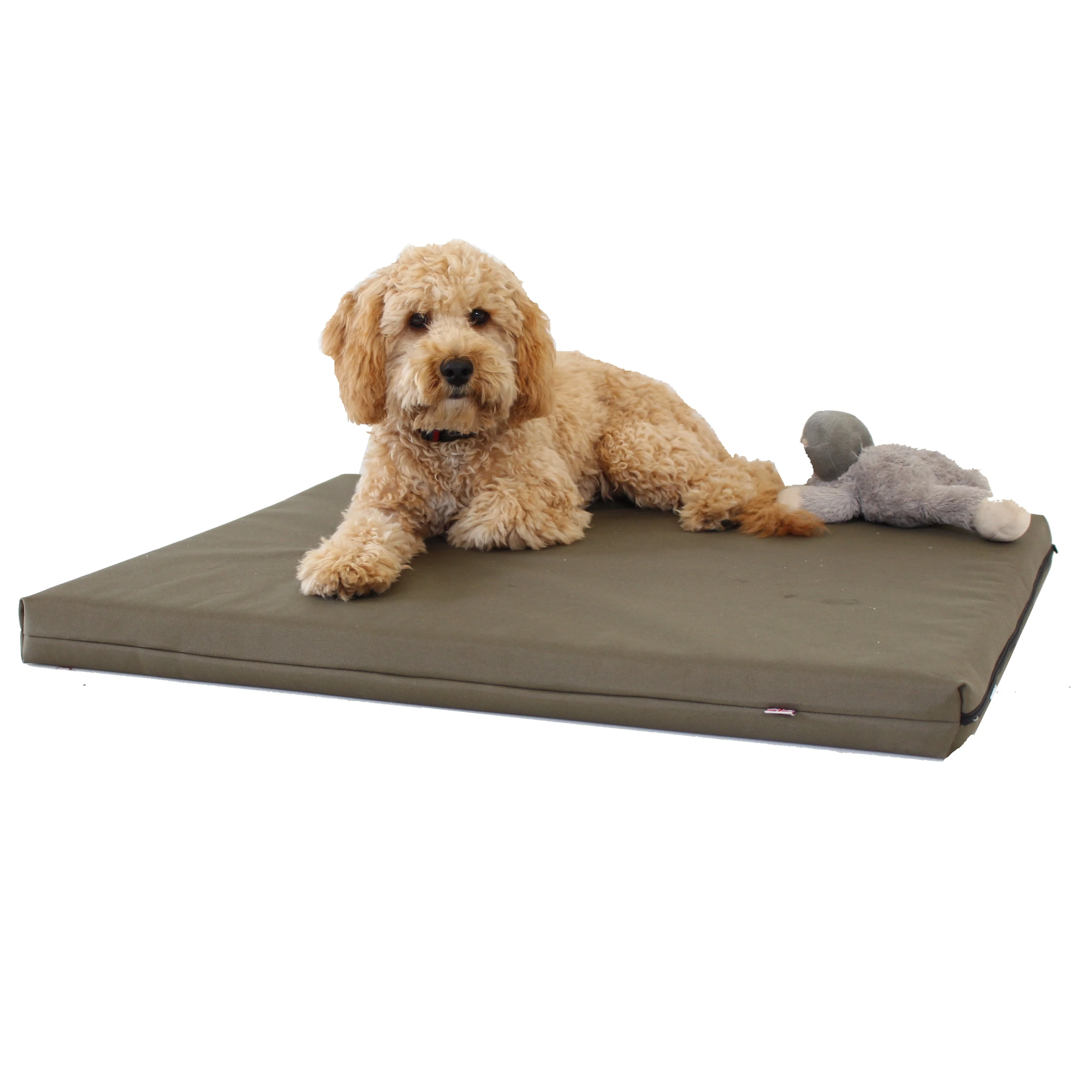 Memory Foam Dog Bed