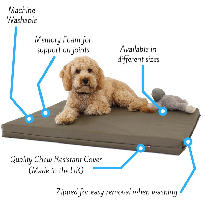 Memory Foam Dog Bed - Image 2