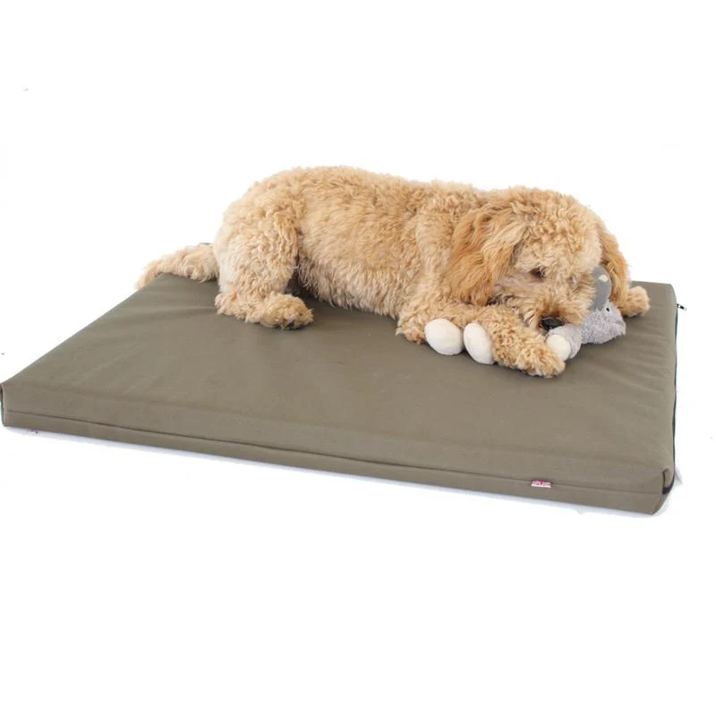 Memory Foam Dog Bed - Image 4